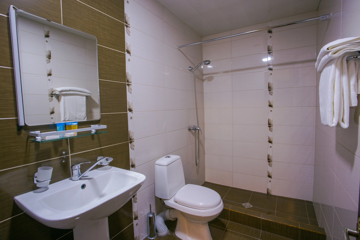 Отель Ani Central Inn