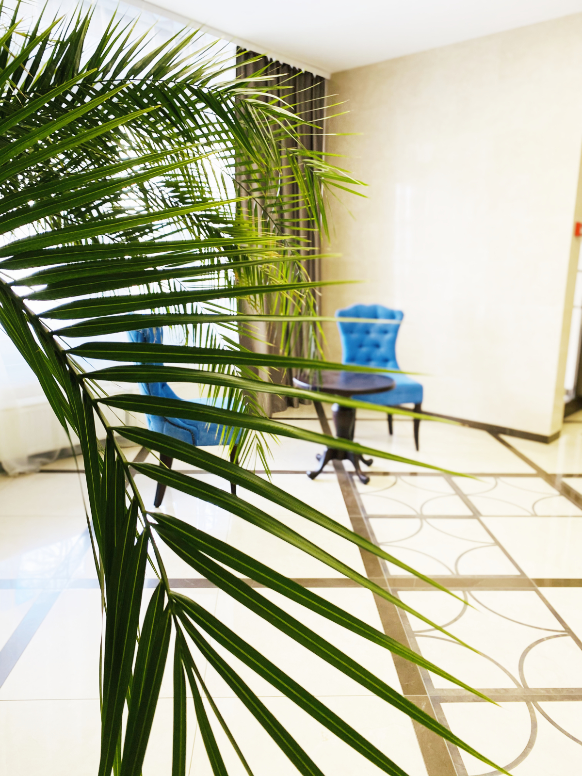 Апартаменты Elagin Studio