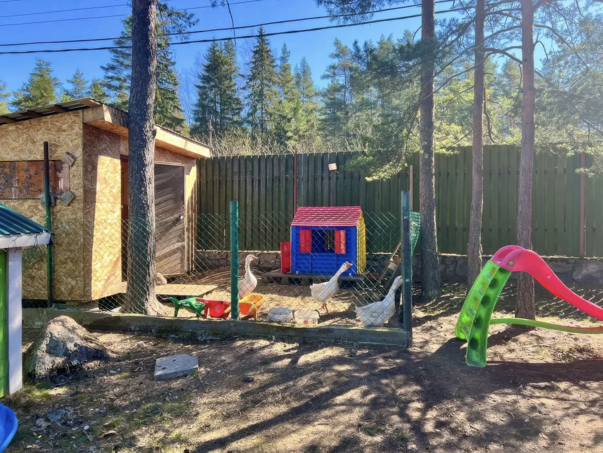 База отдыха База Макслахти