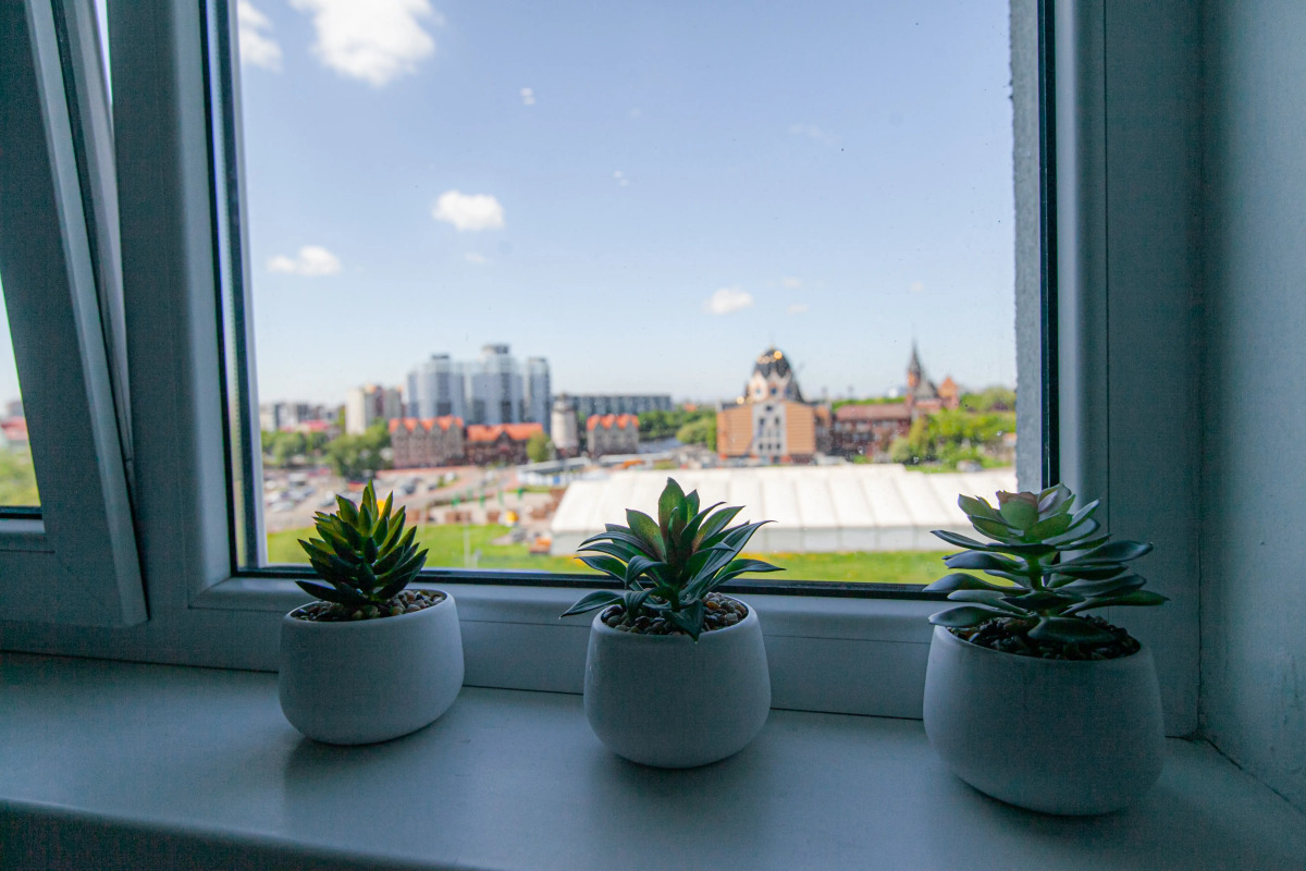 Квартира «Сердце Königsbergа» о.Канта