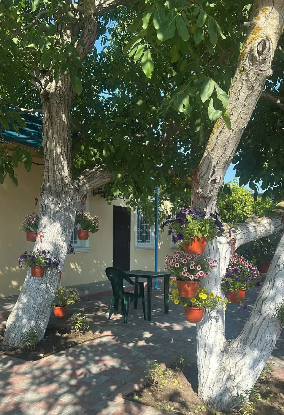 Гостевой дом Морская сказка