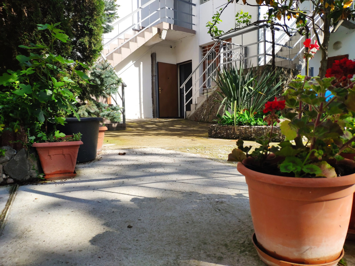 Апартаменты Синяя Птица