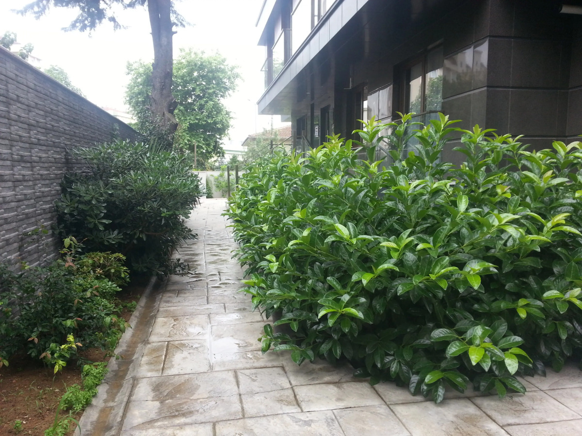 Отель Princess Residence Apart