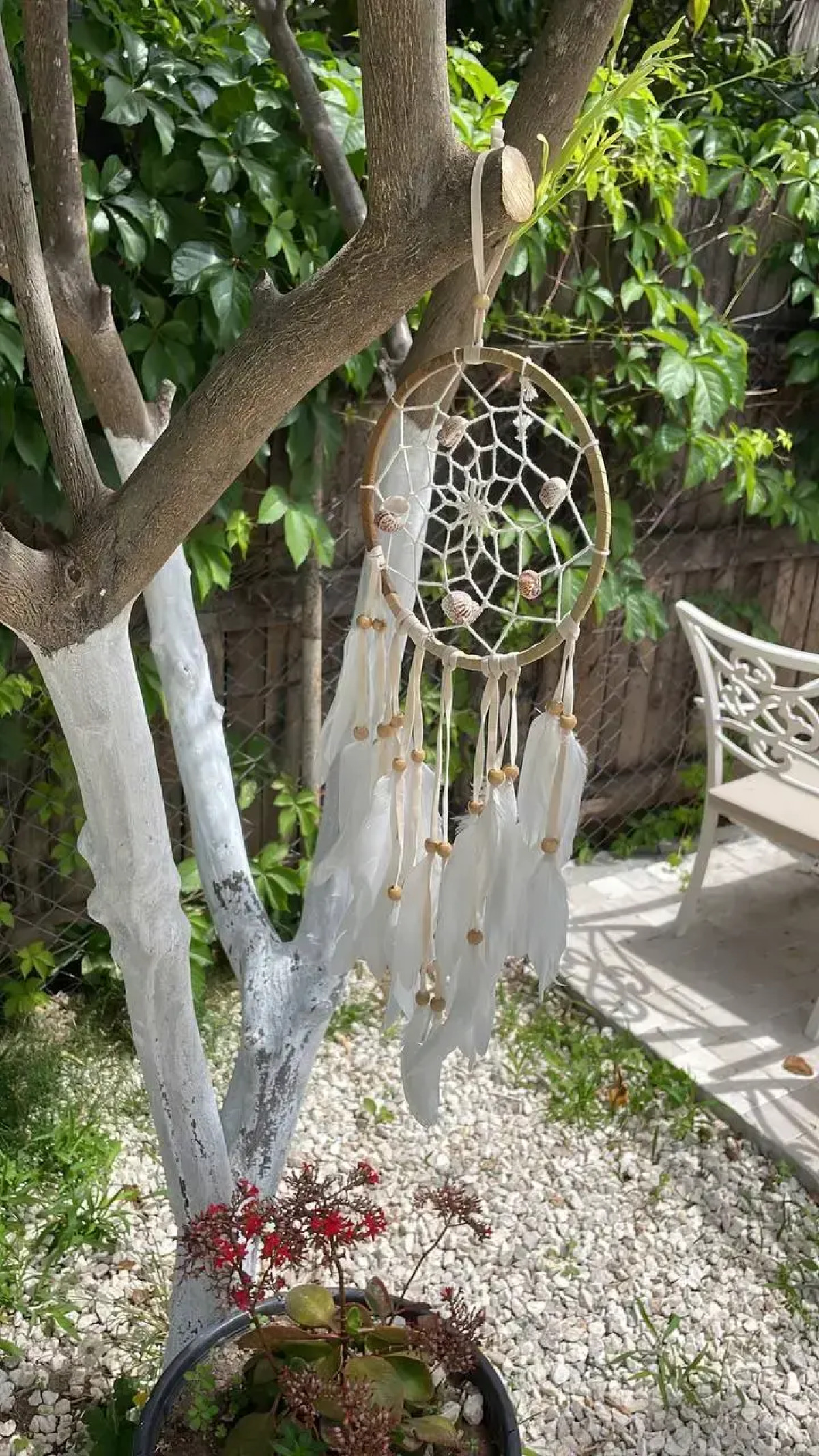 Мини-отель Alican Pension