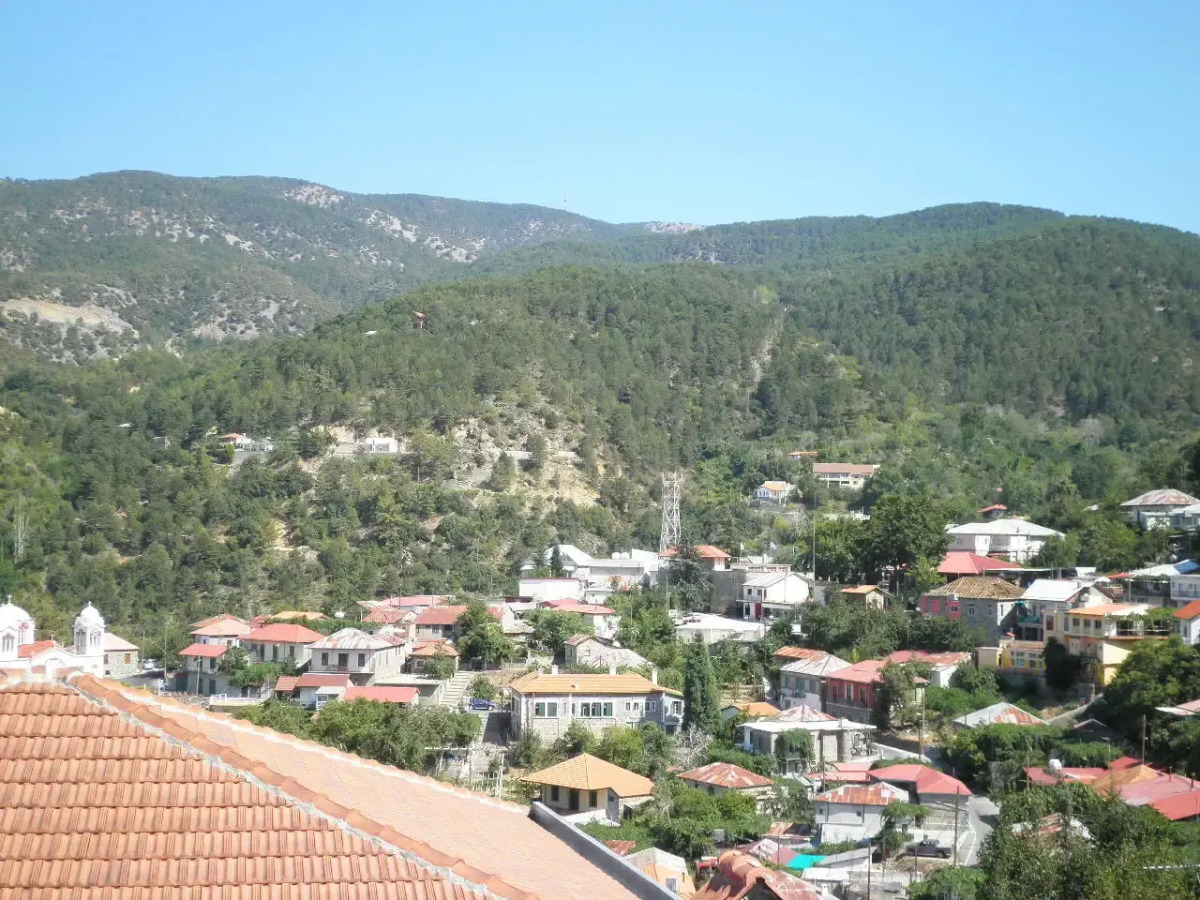 Отель Christys Palace