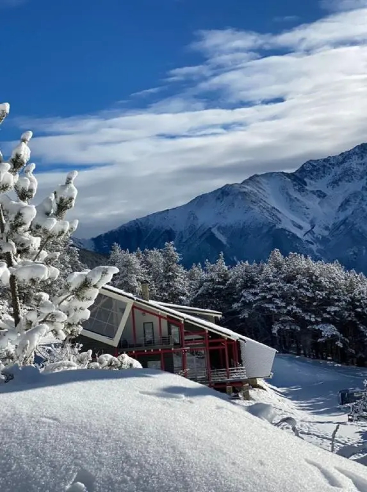 Гостевой дом 1950