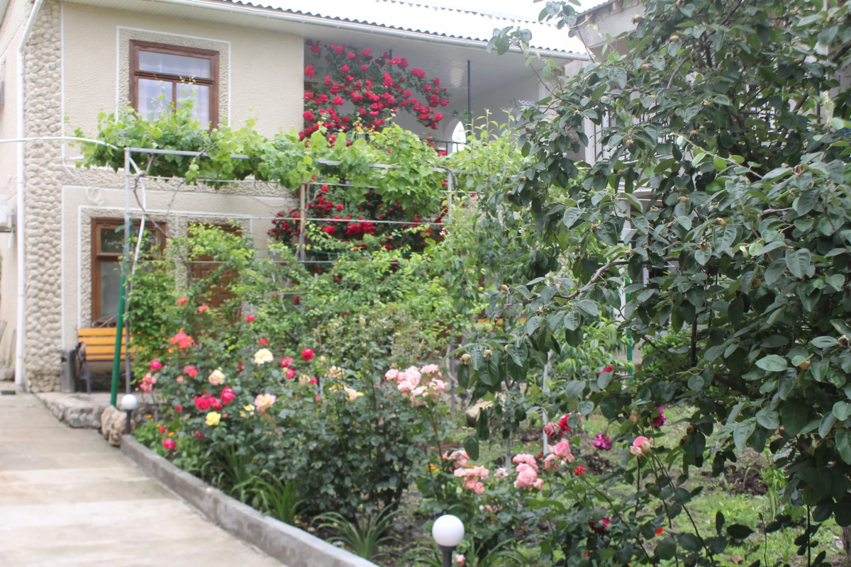 Гостевой Дом Елена