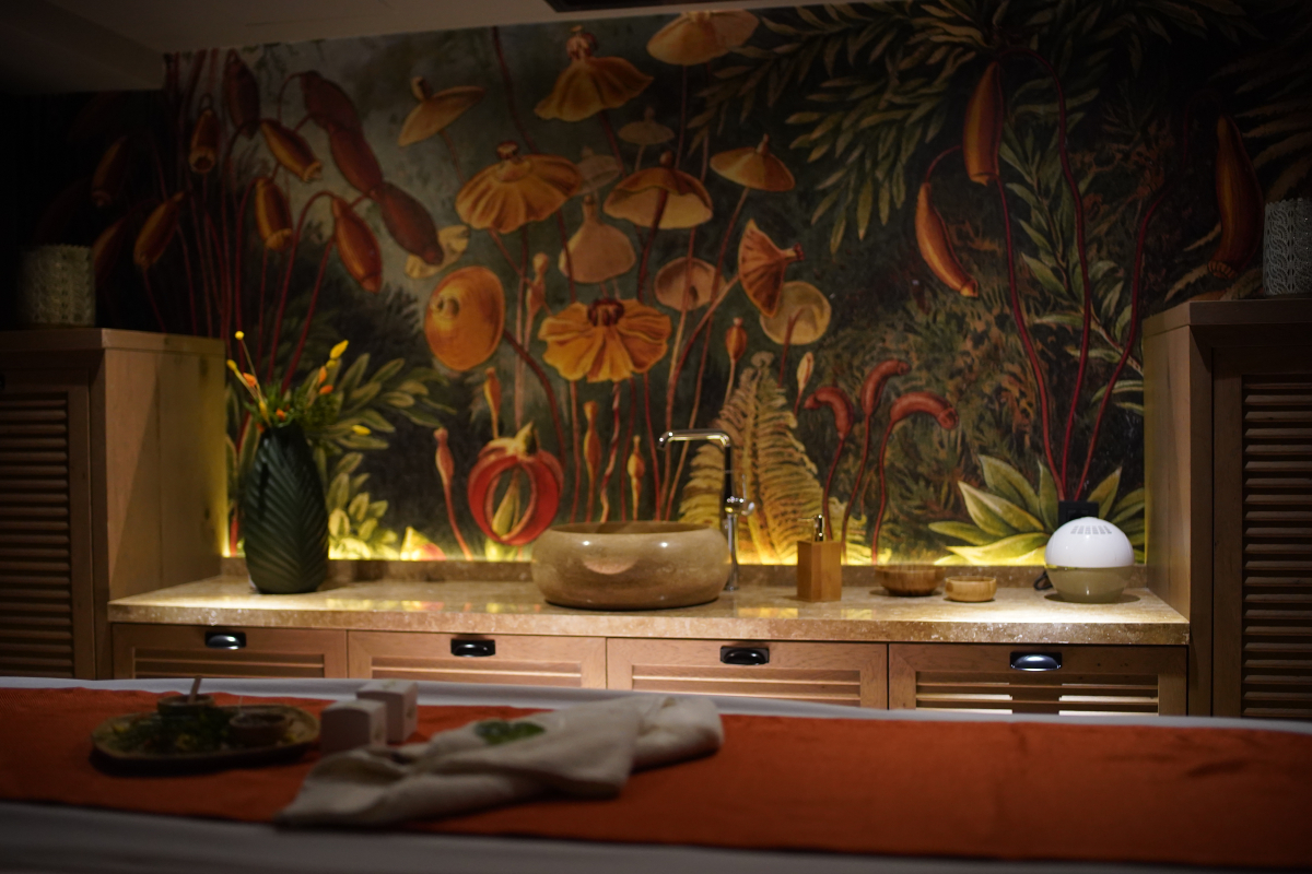 Отель Almira Thermal Spa & Convention Center