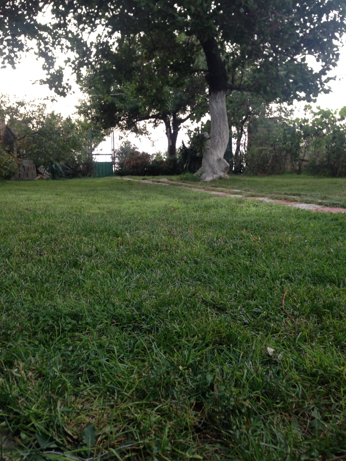 Rajskij Ugolok Guest House