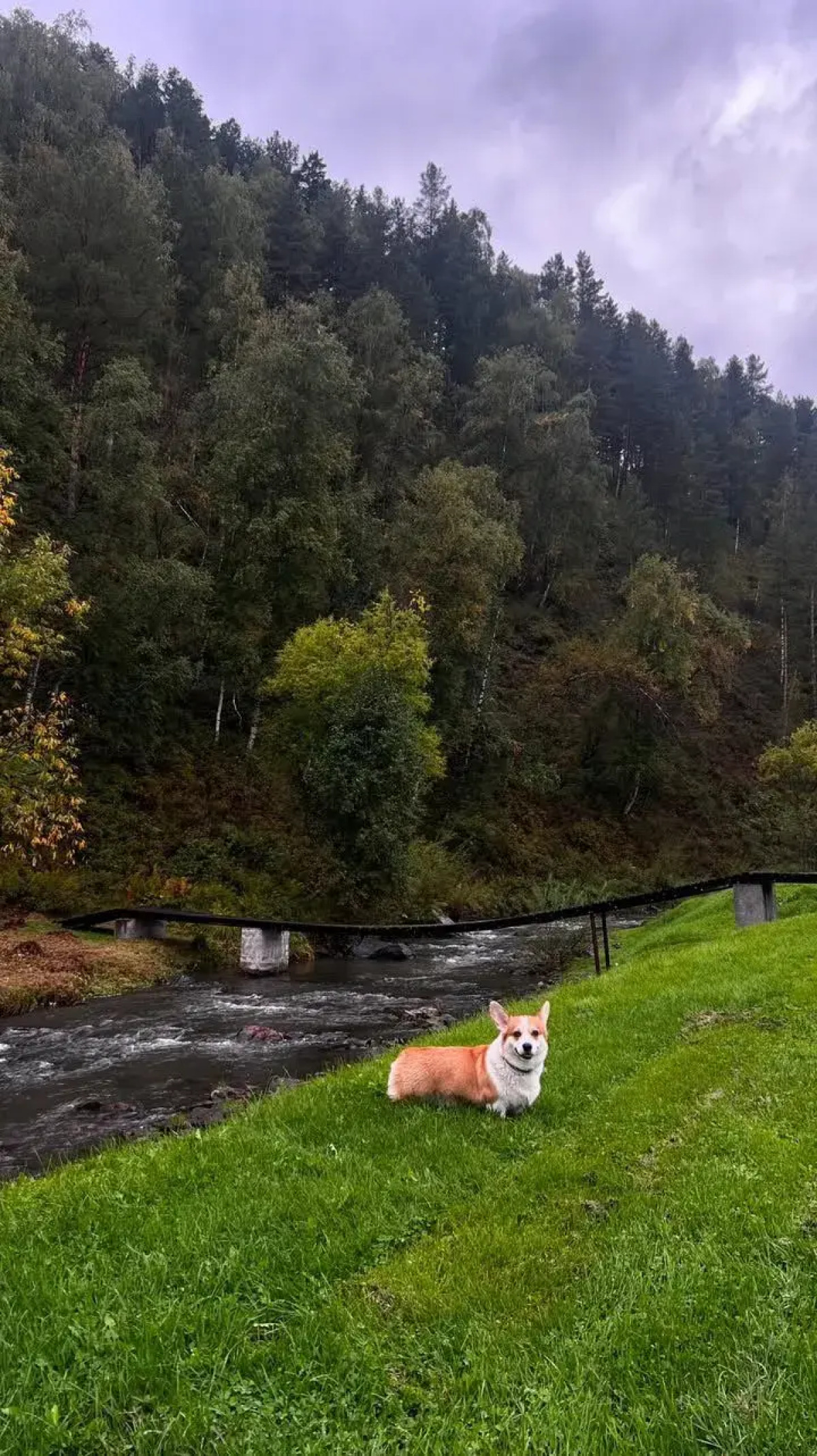 Гостевой дом Умайя