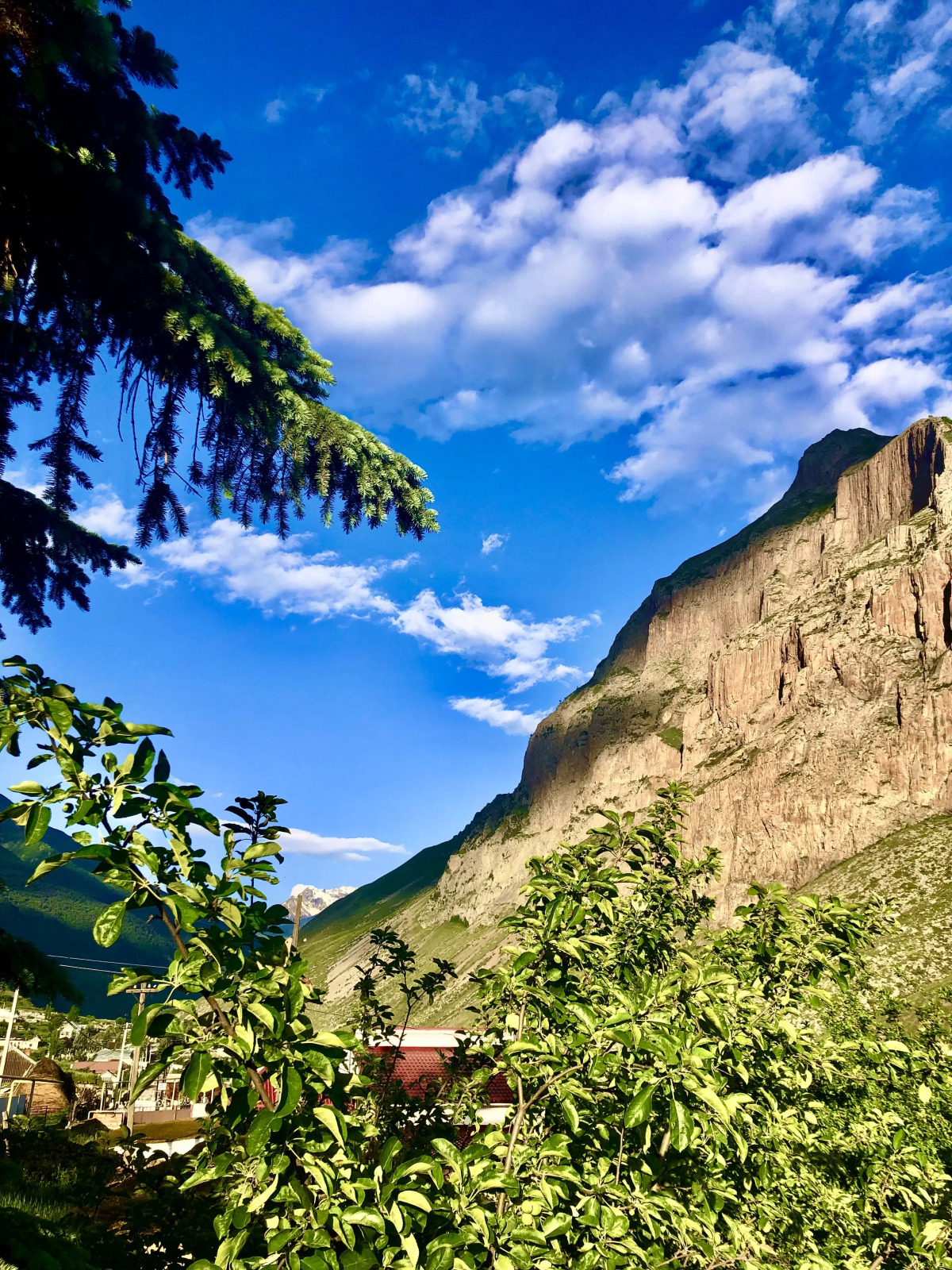 Гостевой дом Горская сакля ЧегТау