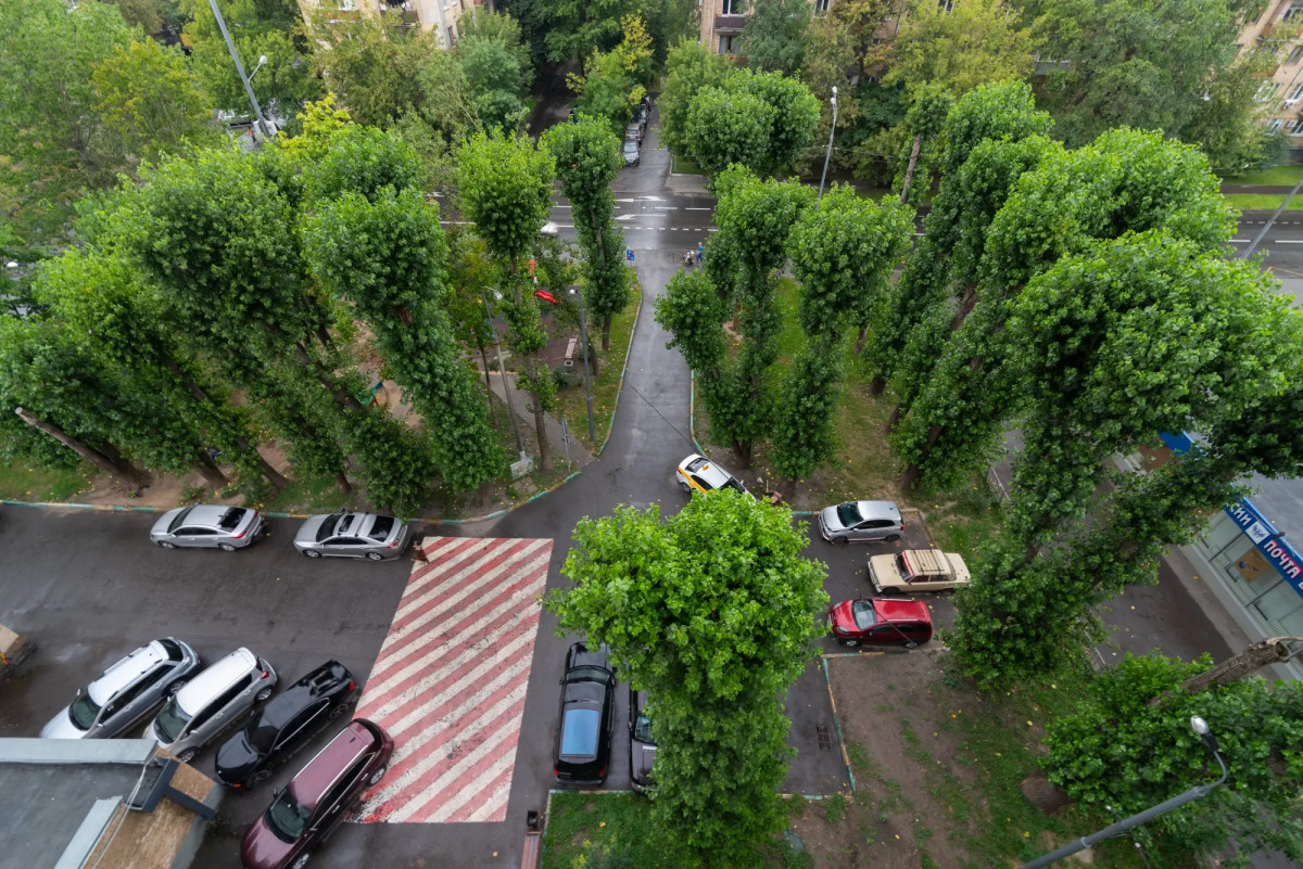 Квартира Апартаменты на Коломенской Кленовый Бульвар