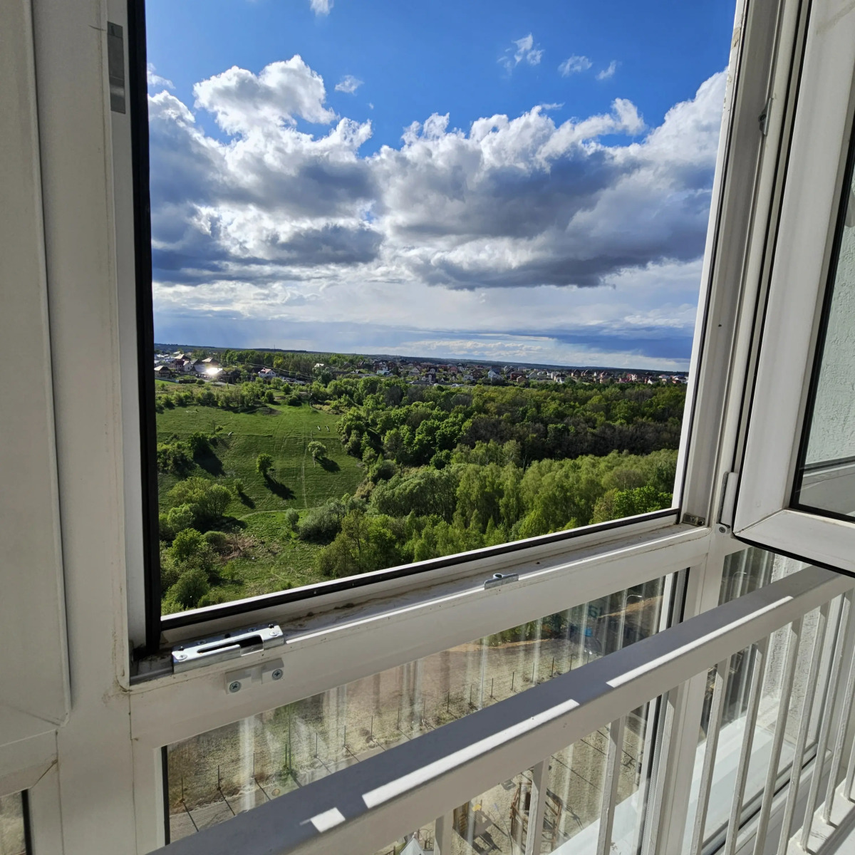 Квартира уютная с видом на березовую рощу