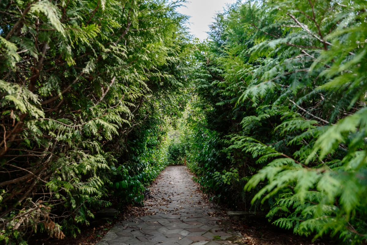 Гостевой дом Отрада