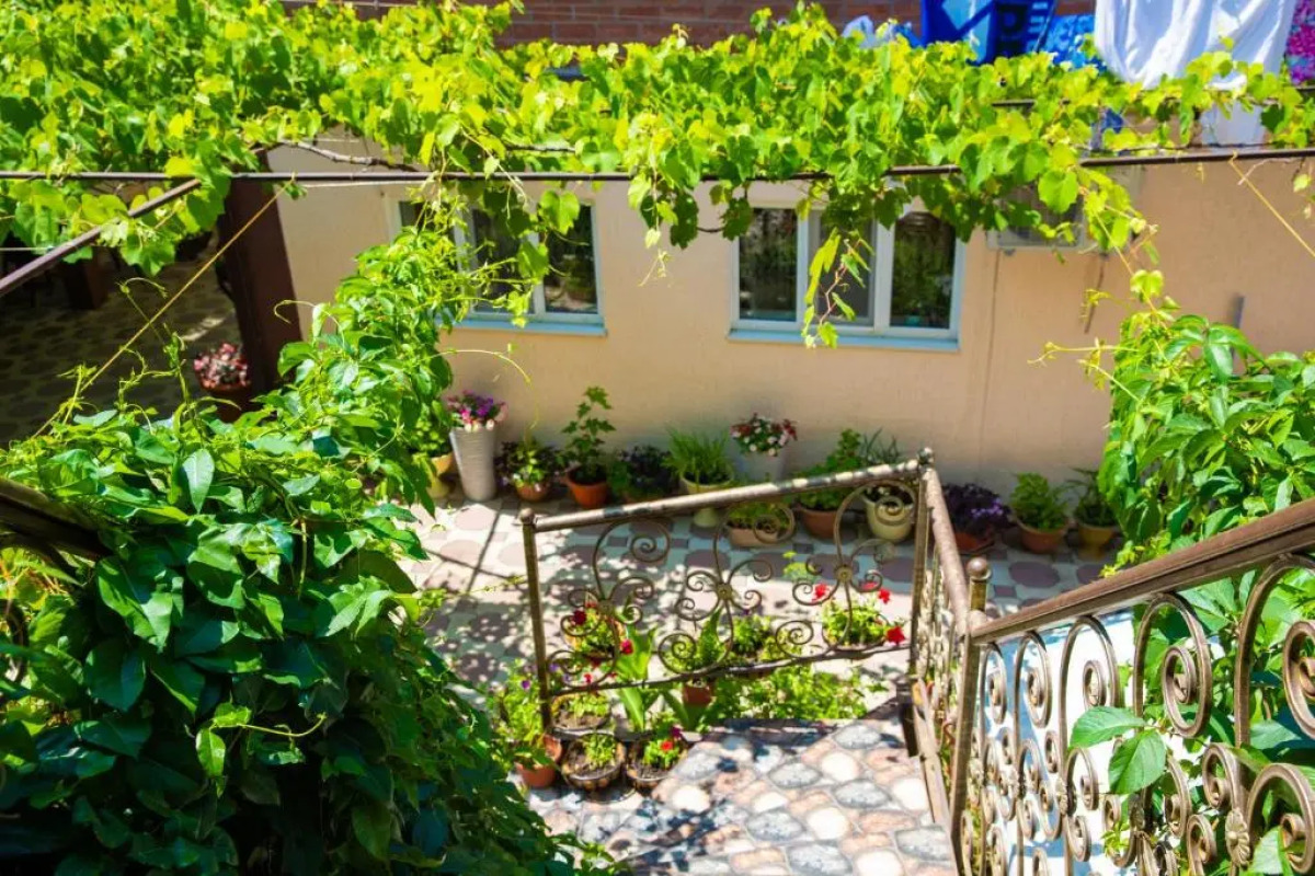 Гостевой дом Аленка