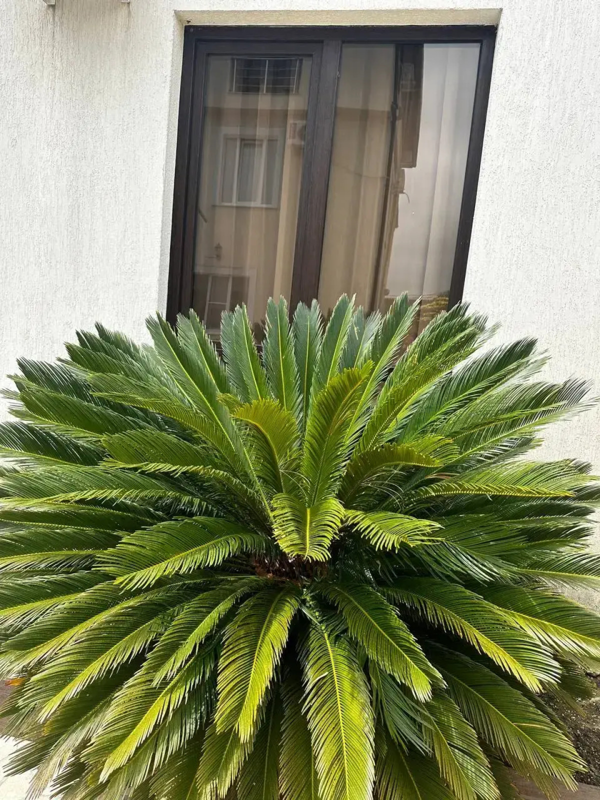 Гостевой дом Сати