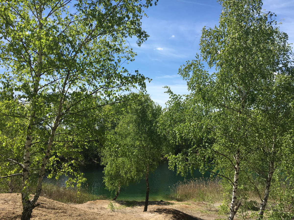 Загородный клуб Владимир