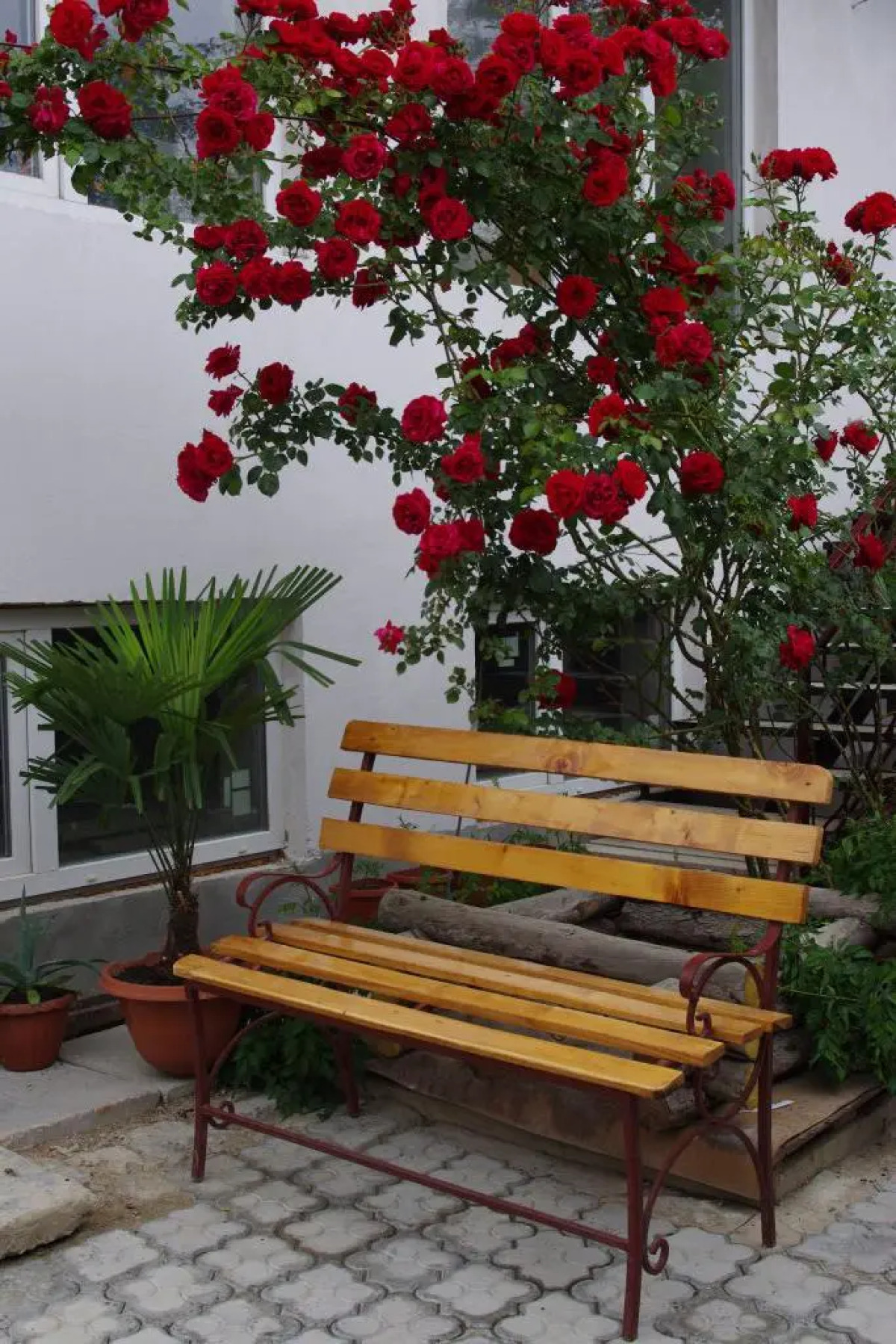 Гостевой Дом Дом в Розах