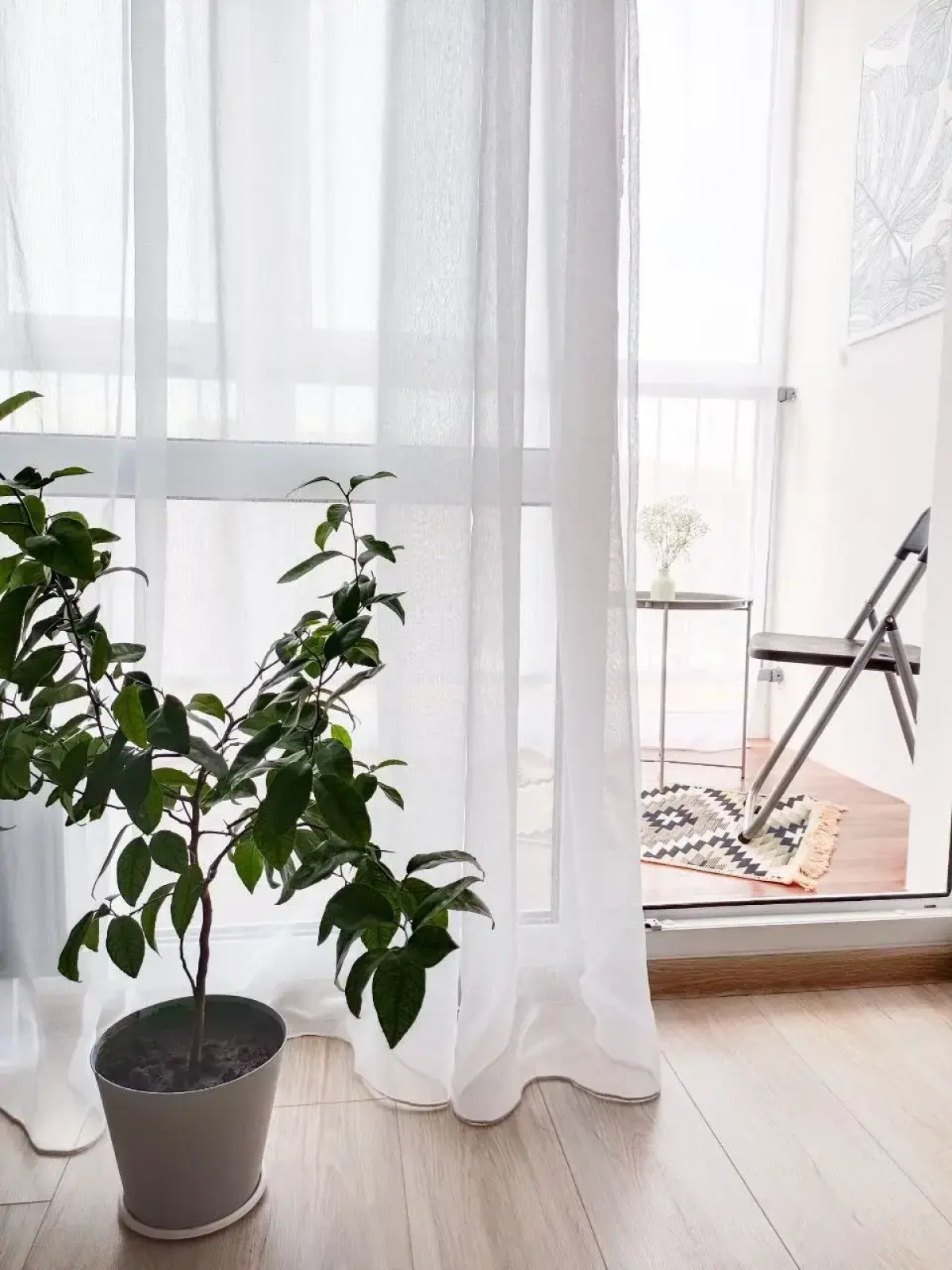 Квартира Green dreams