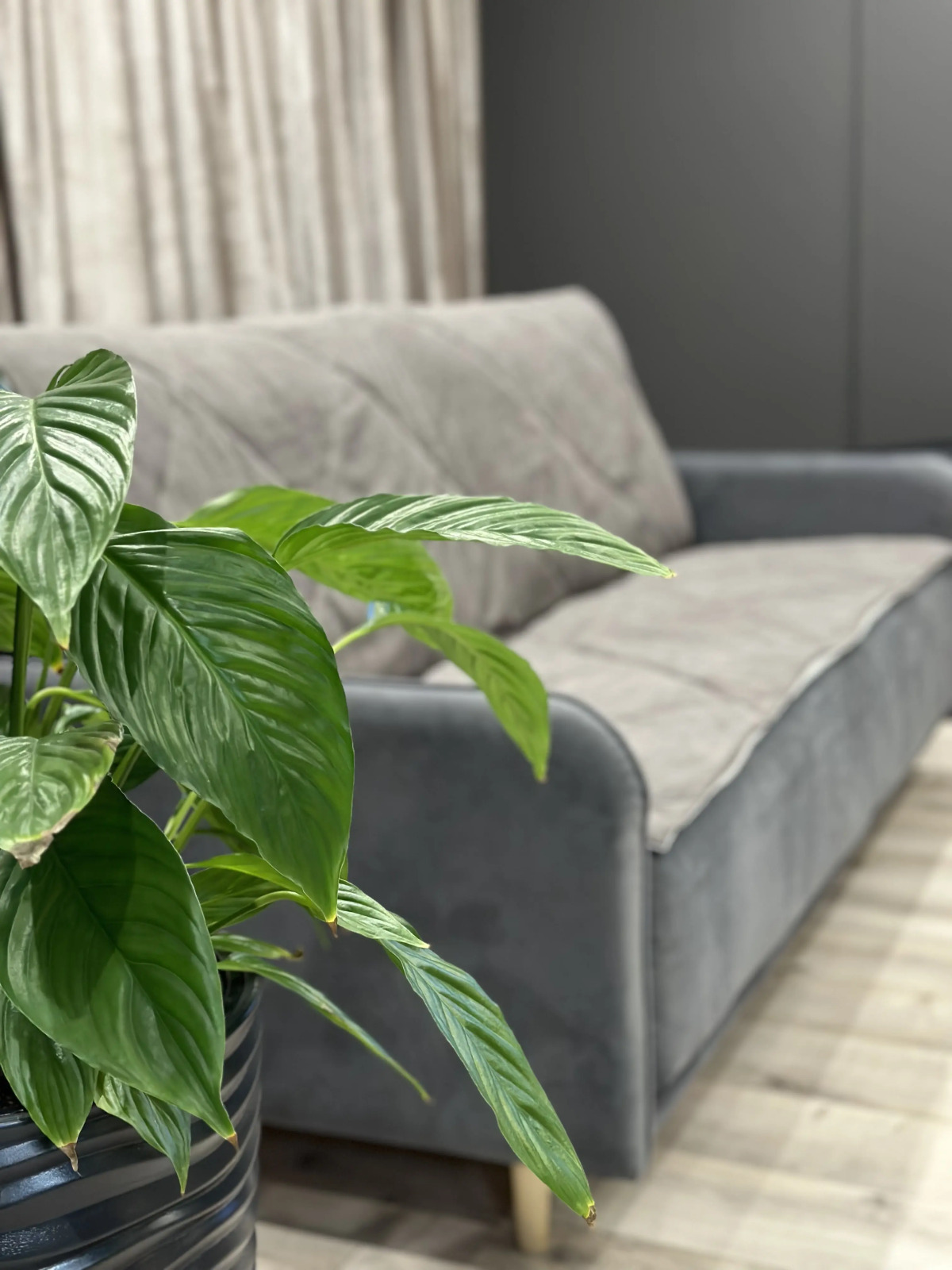 Апартаменты Apartment Family