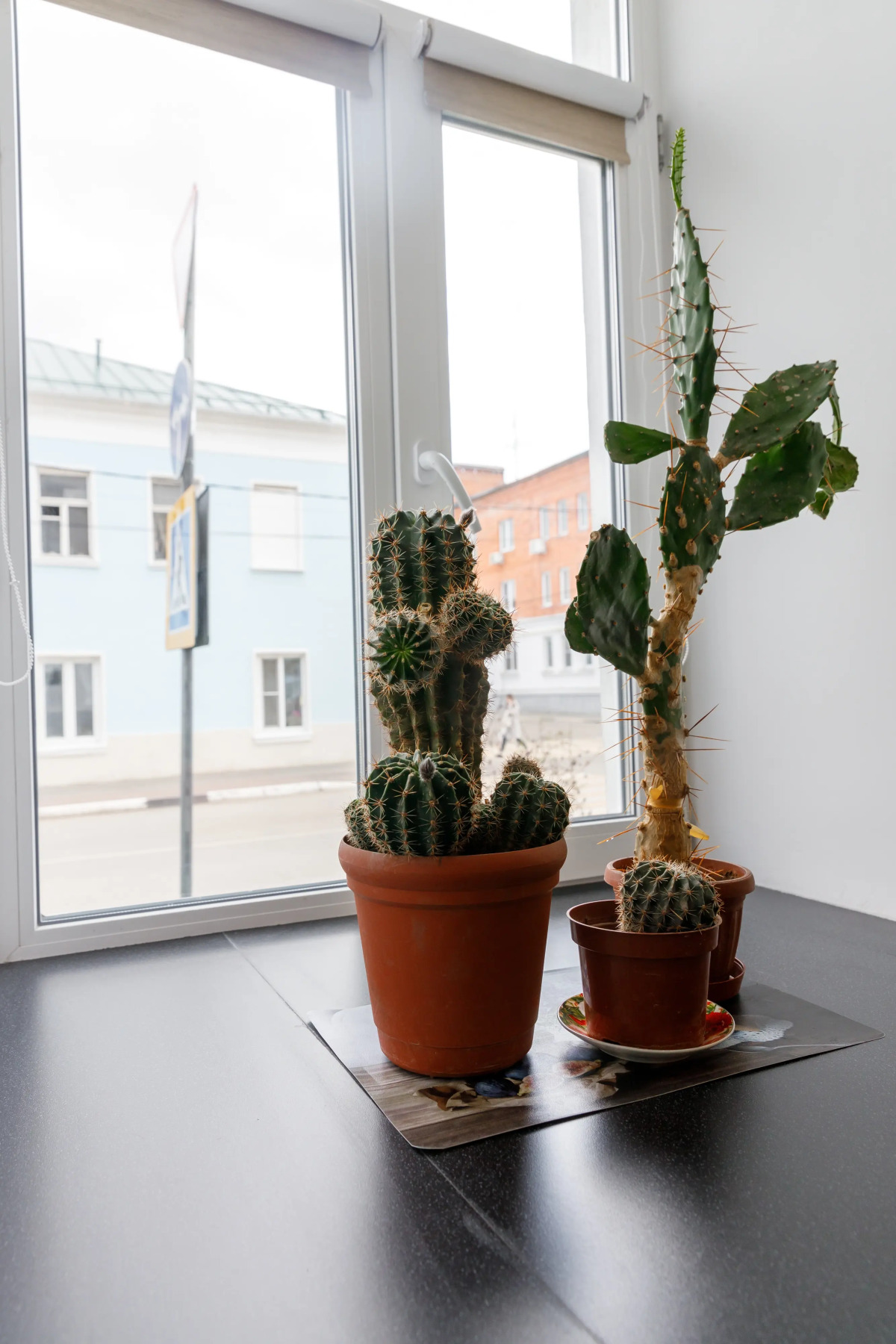 Апартаменты на Яна Грунта 1 -4/1