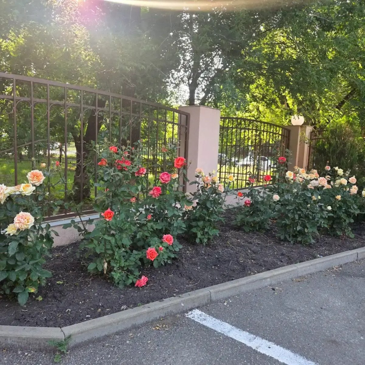 Отель Парк Отдых 