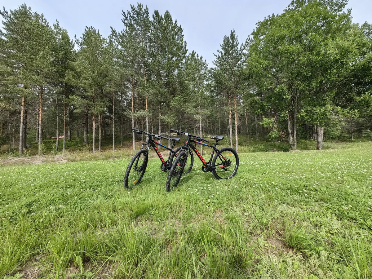 Гостевой дом Павола (Pavola)