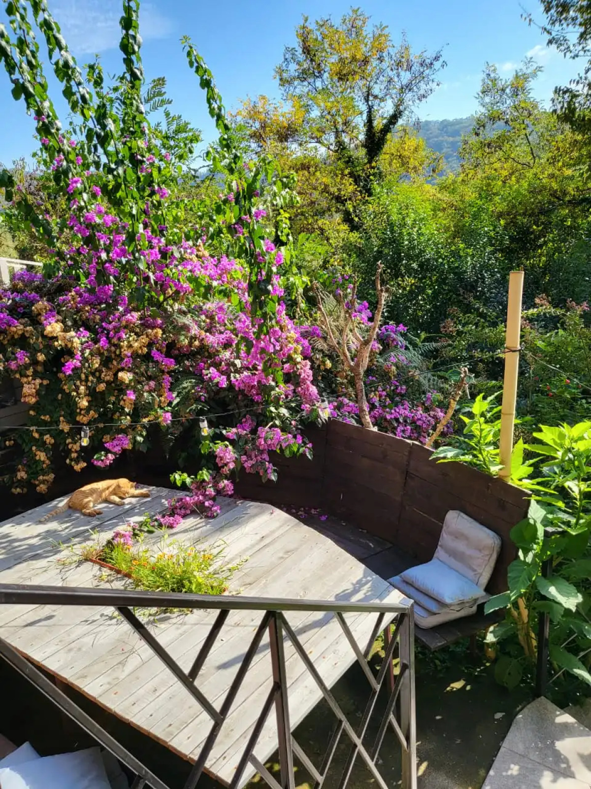 Гостевой дом Макс