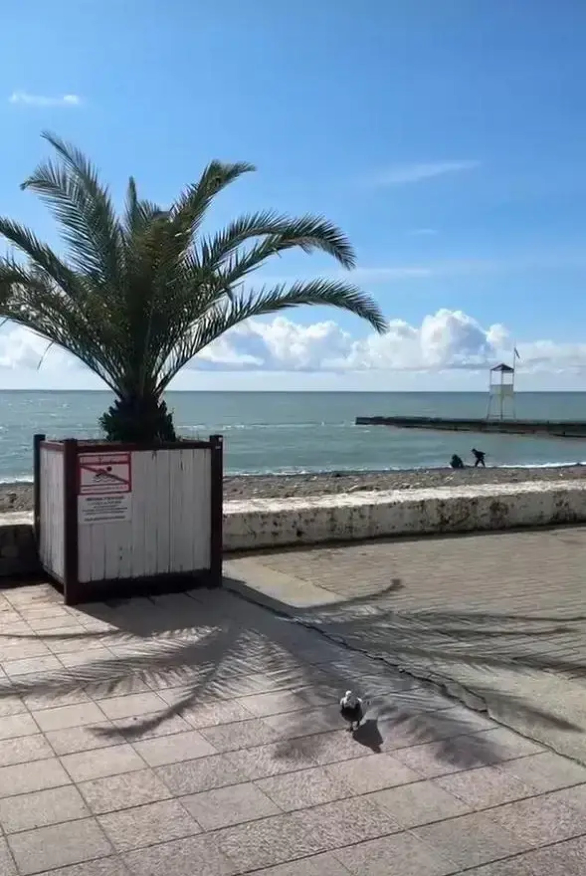 Апартаменты в Сочи центр Хосты с видом на море АК Горка