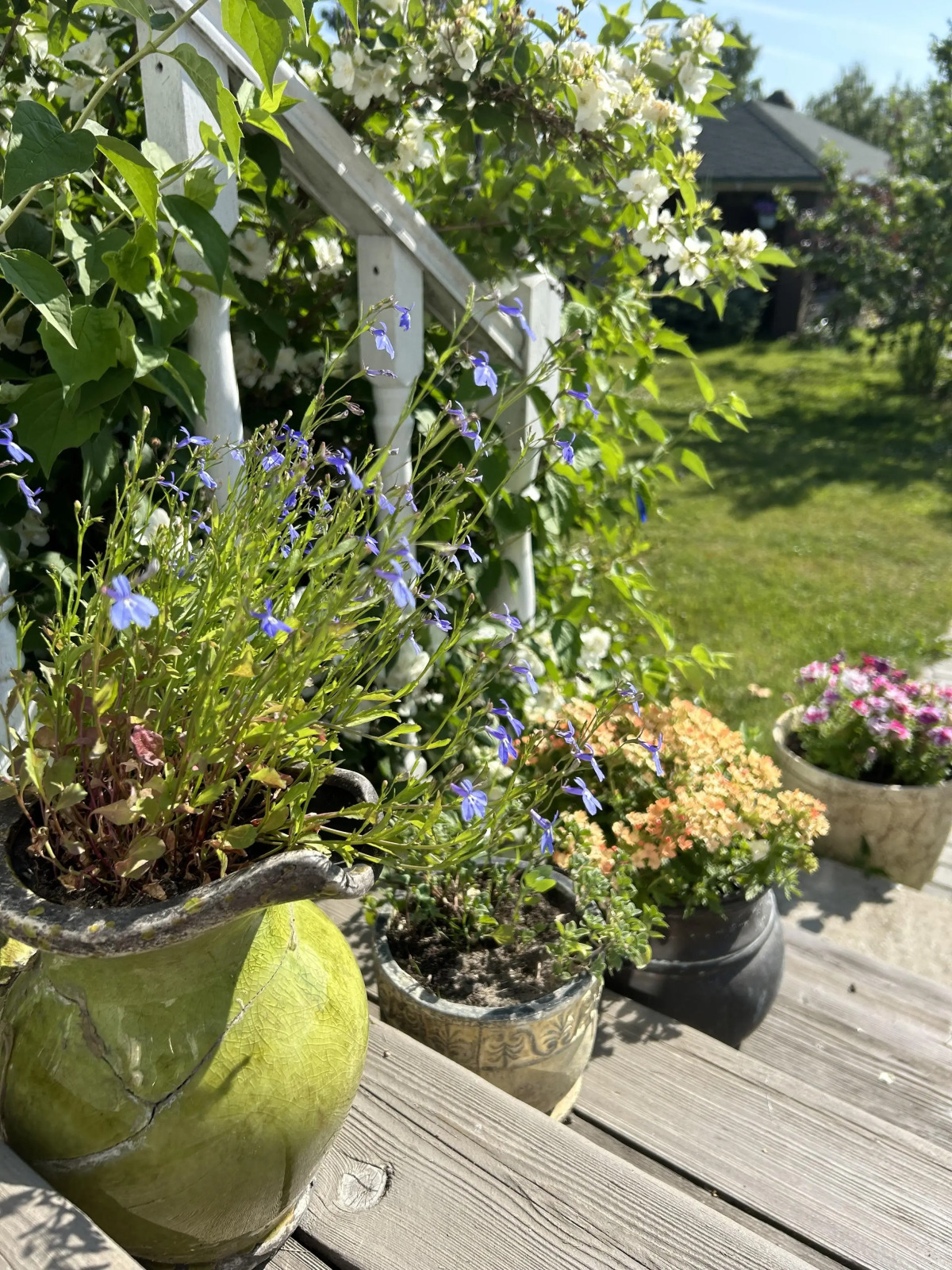 Дом для перезагрузки от города