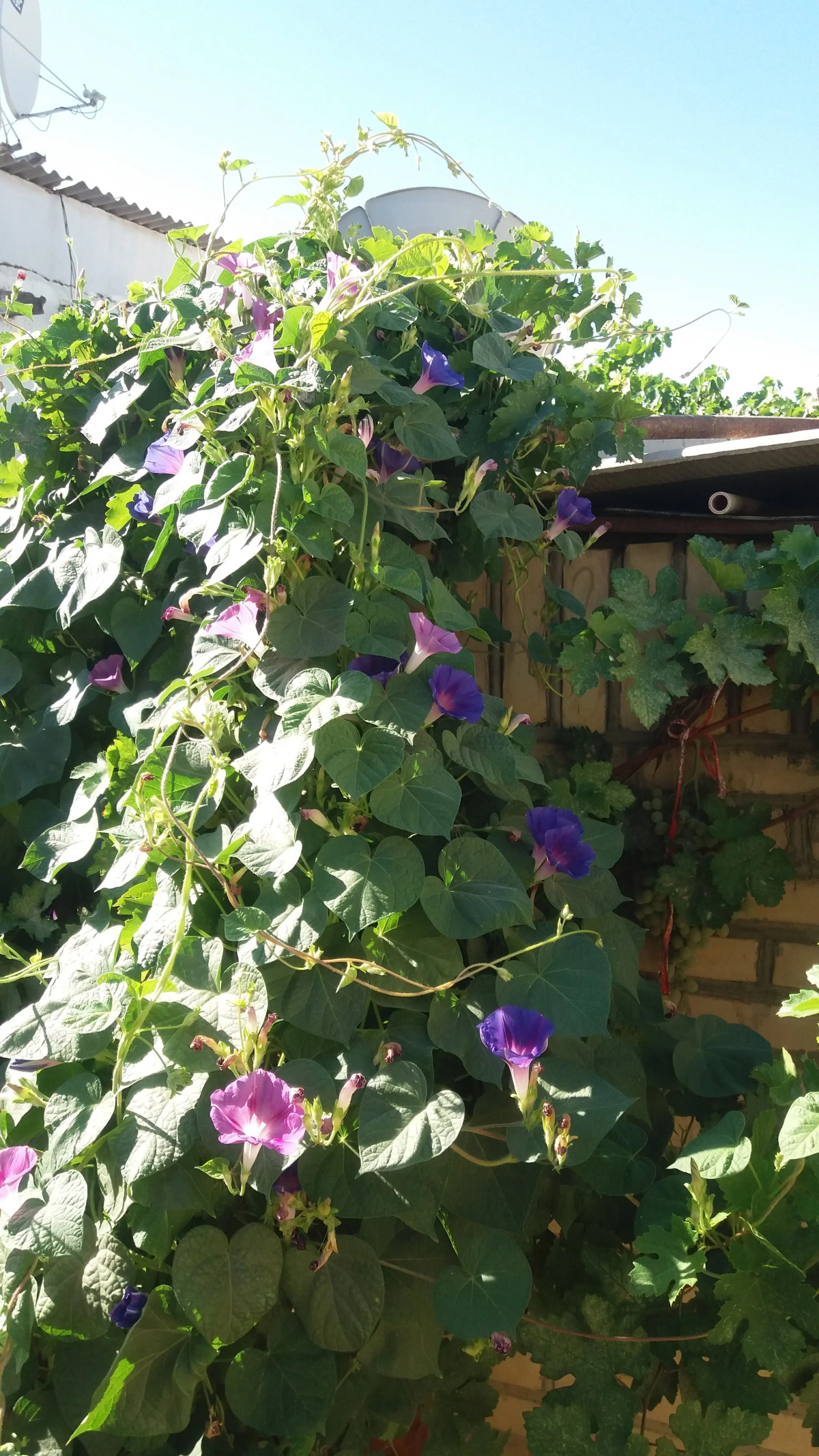 Хостел Umarxon