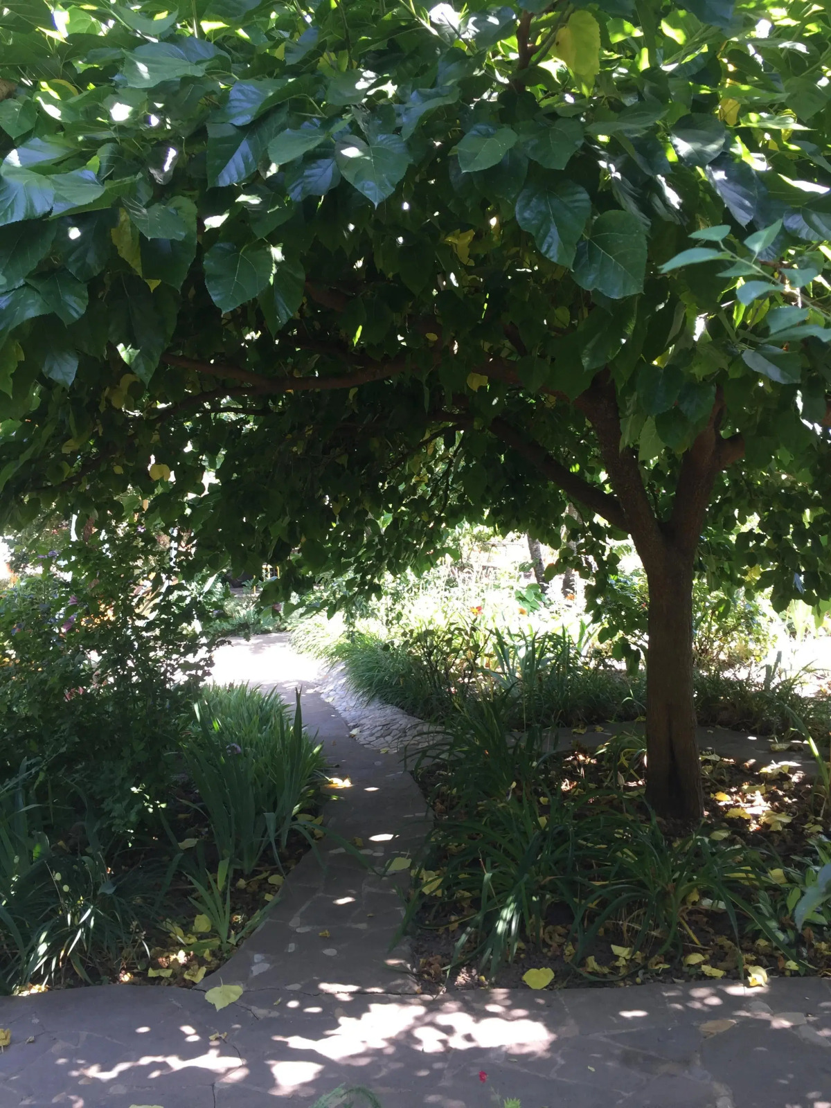 Гостевой дом Дом в саду