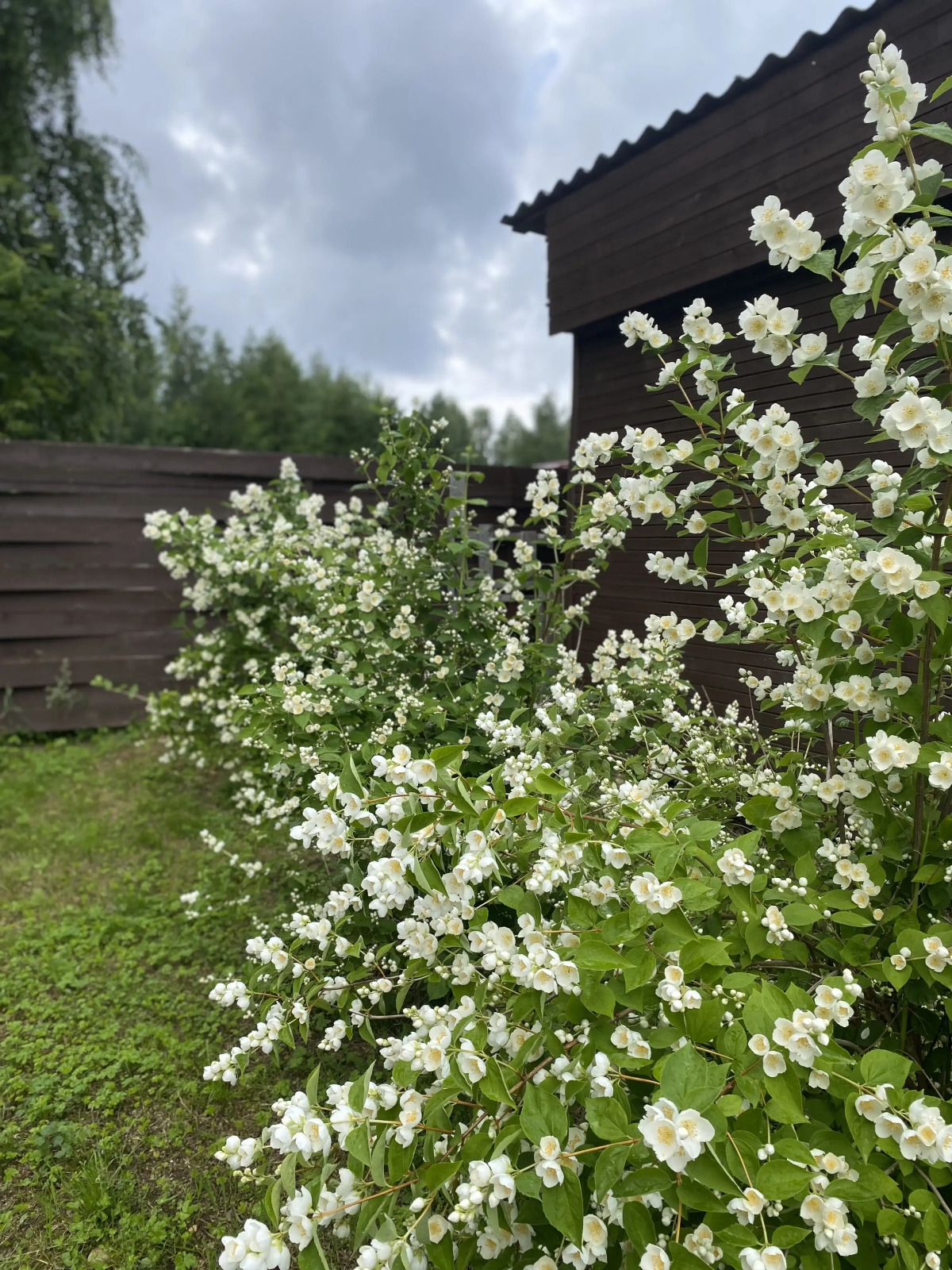 Частный Дом Гостевой Дом в Поселке Нижняя Салма Карелия