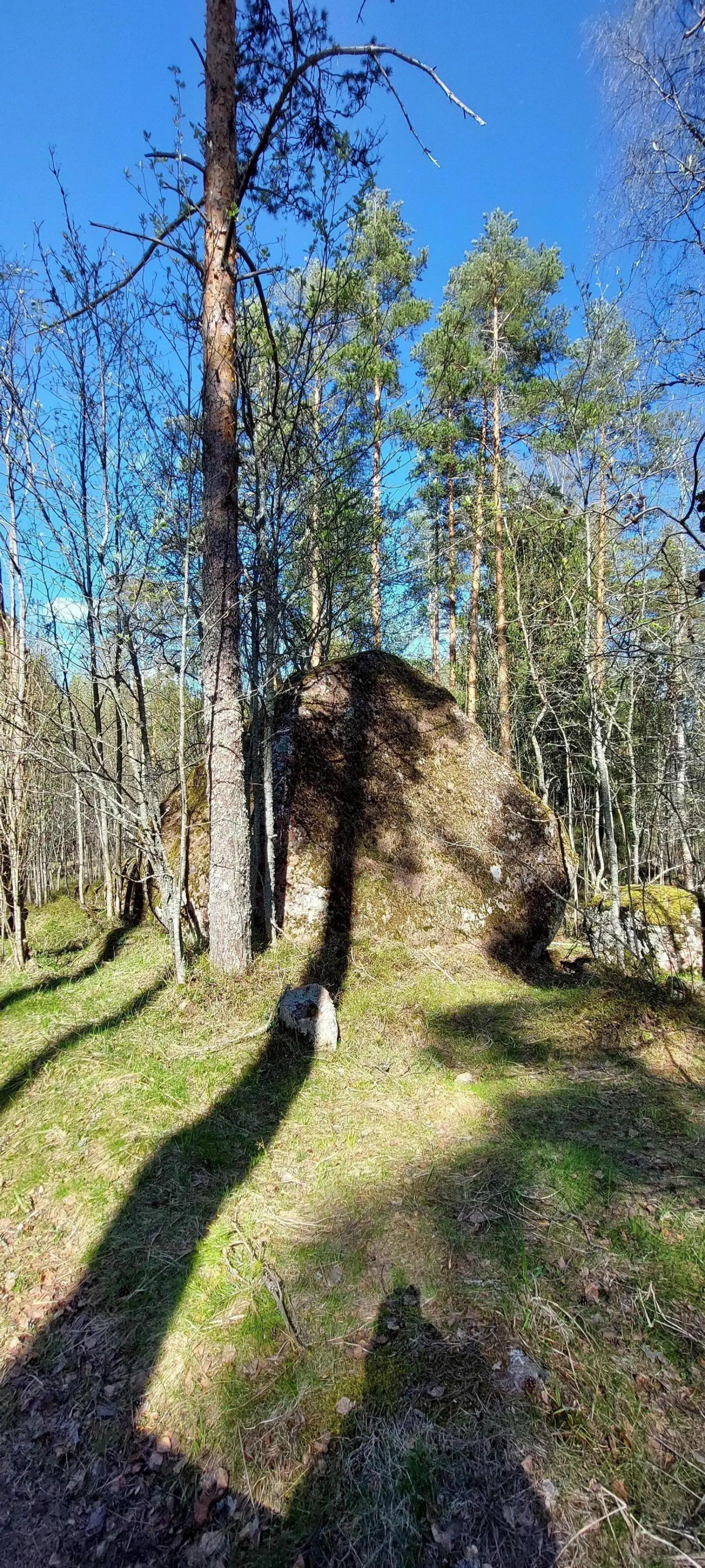 Гостевой дом Березки