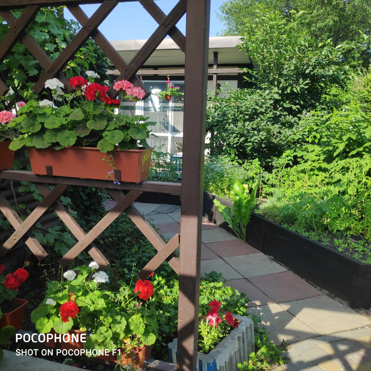 Бунгало на Дону