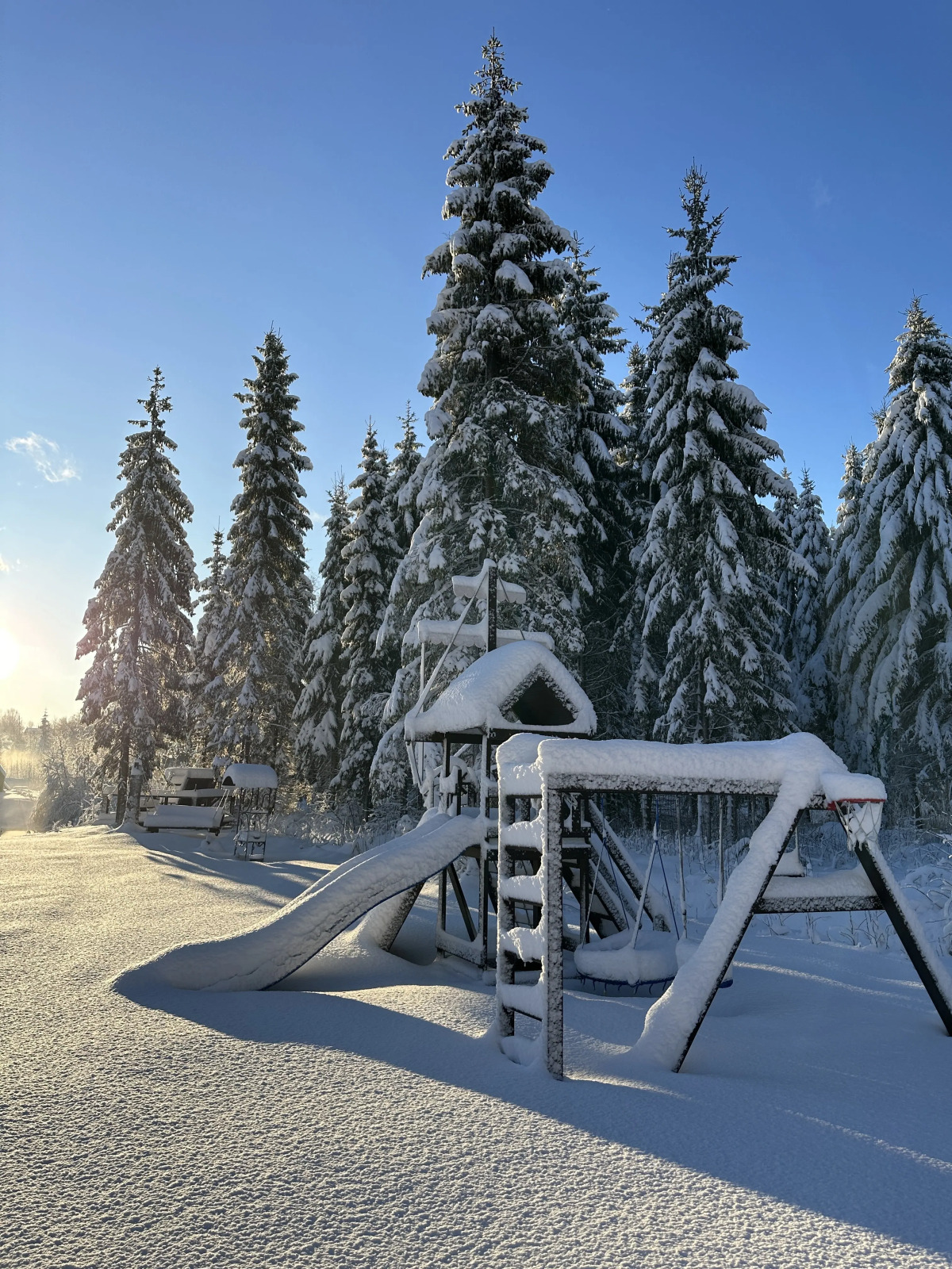 Частный дом Scandi house