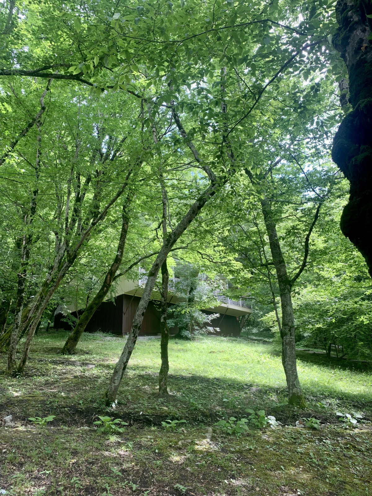 База отдыха Гостиничный комплекс Примула