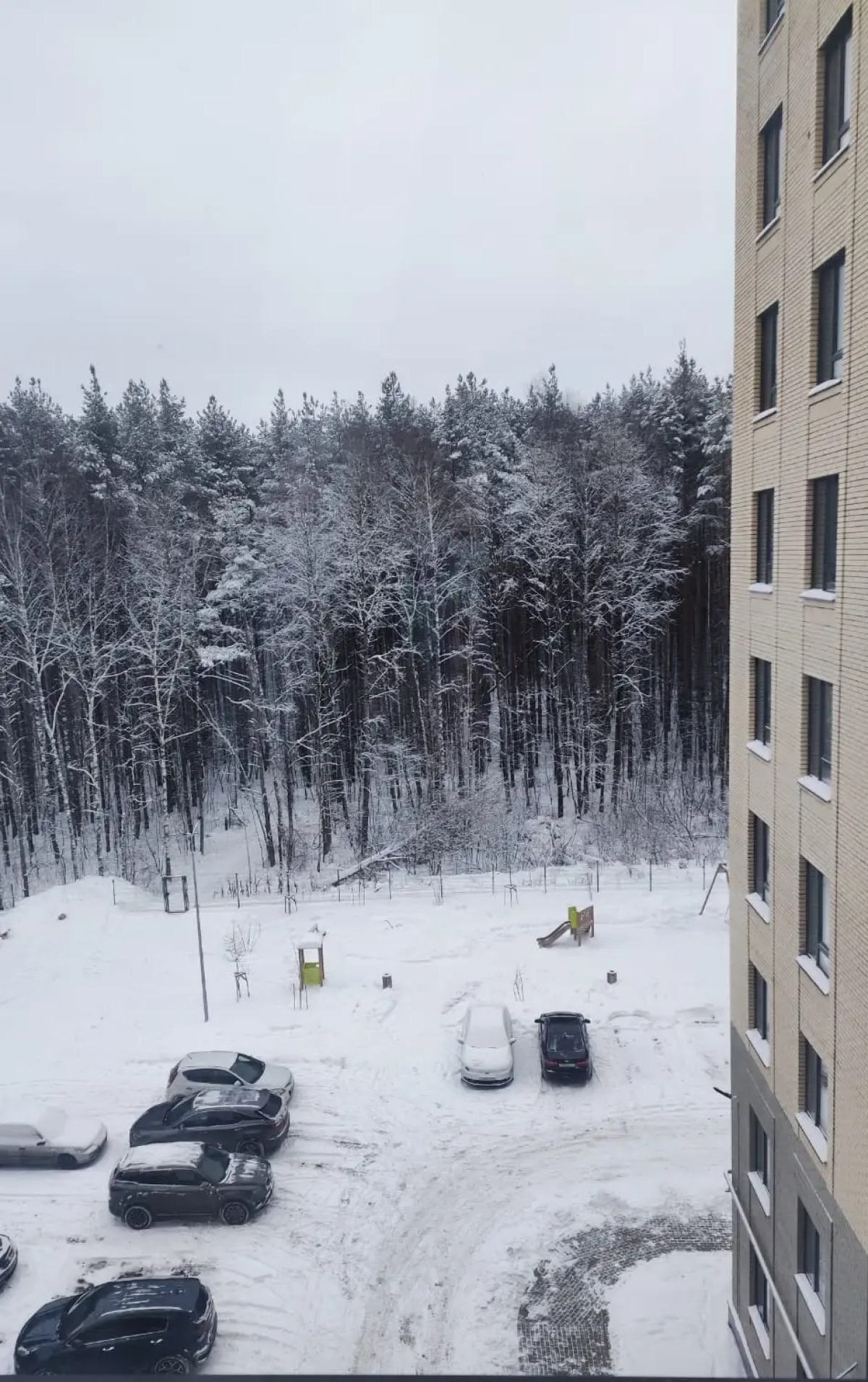 Квартира Лесная сказка