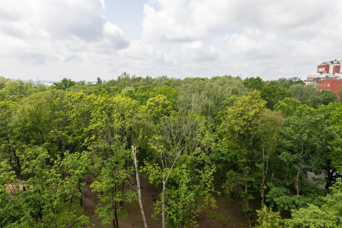 Квартира Fresh world