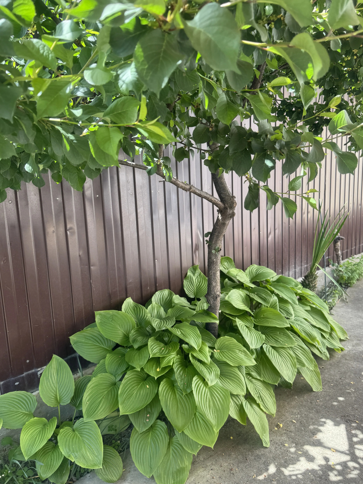 Гостевой дом ДомУДача