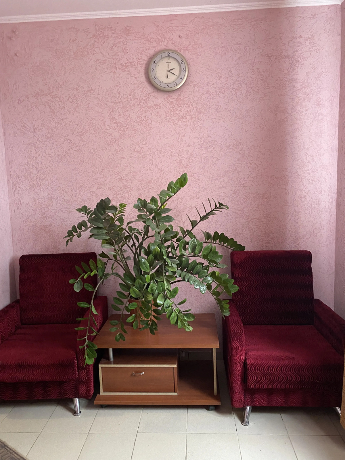 Меблированные комнаты Мещерино