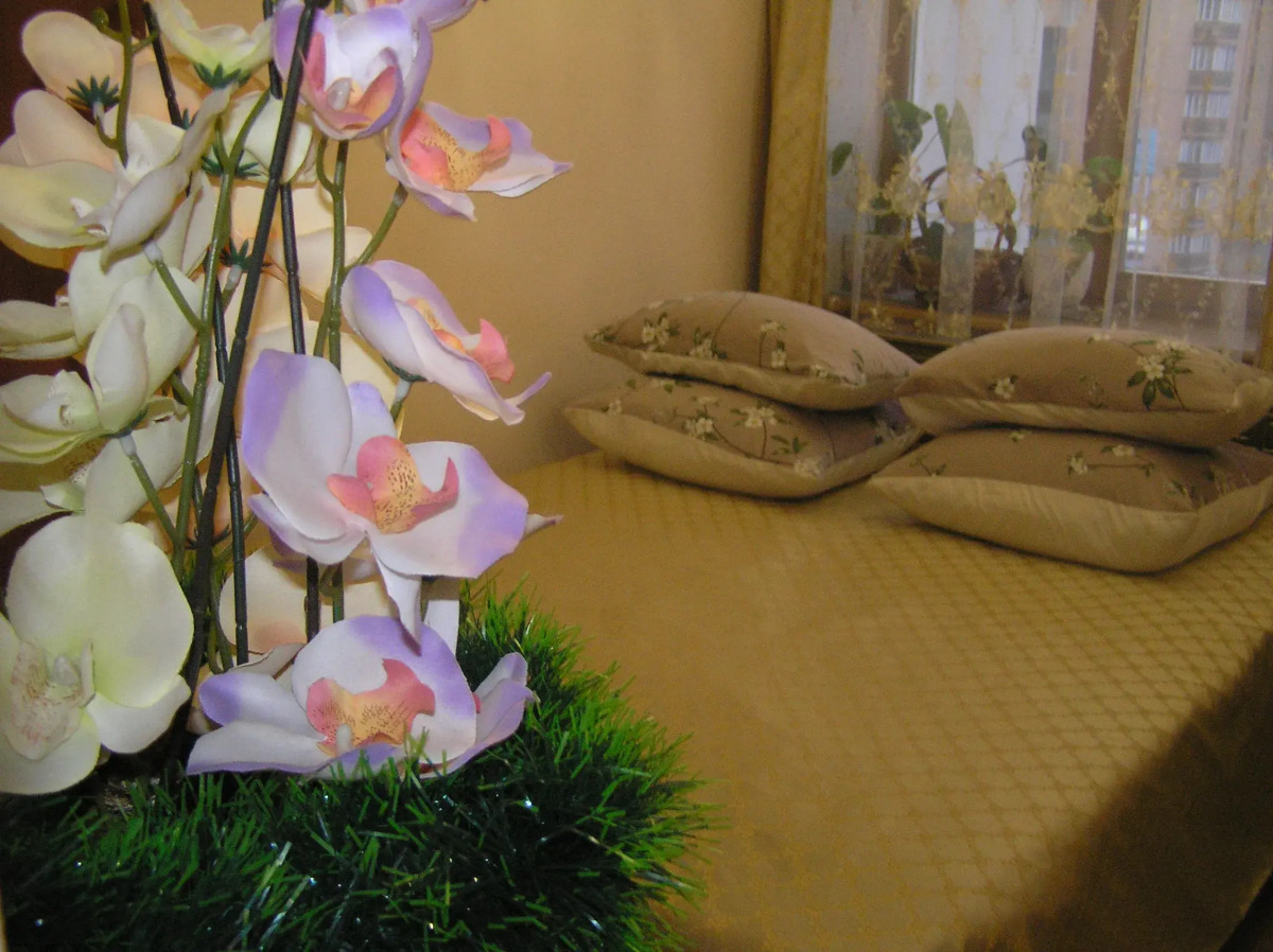 Апартаменты Оливия на Радищева