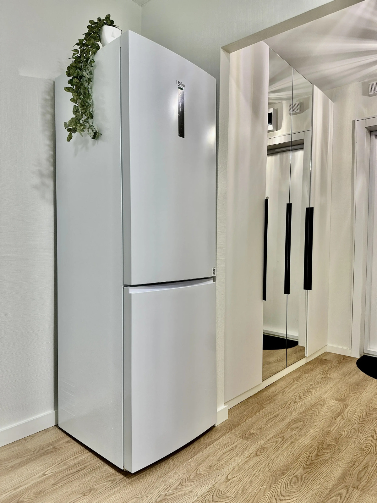 Квартира Добро пожаловать на самый верх