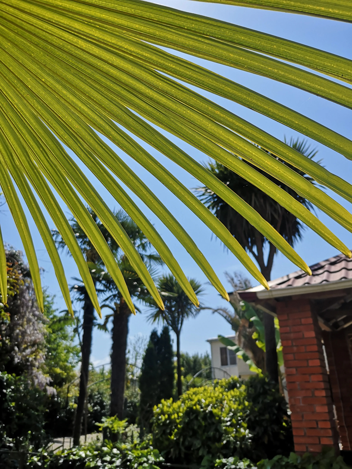 Гостевой дом Форелька