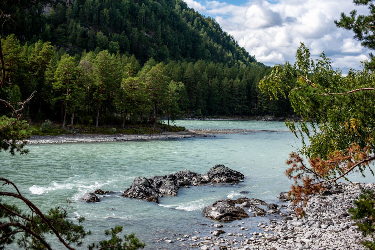 Гостевой дом АЛТАЙ БЕРЕГ ИП Рожнова Л.В.