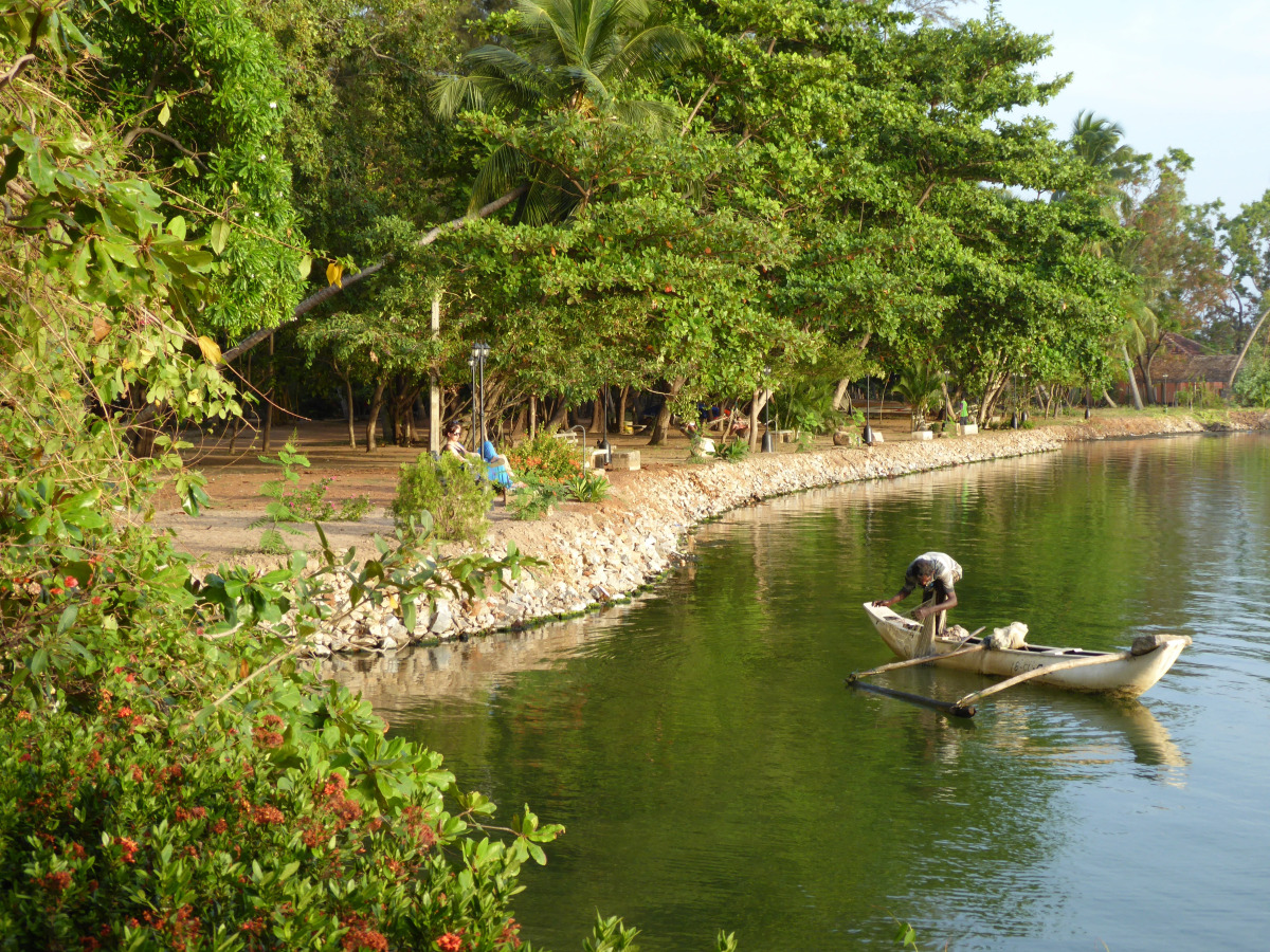 Отель Riviera Resort