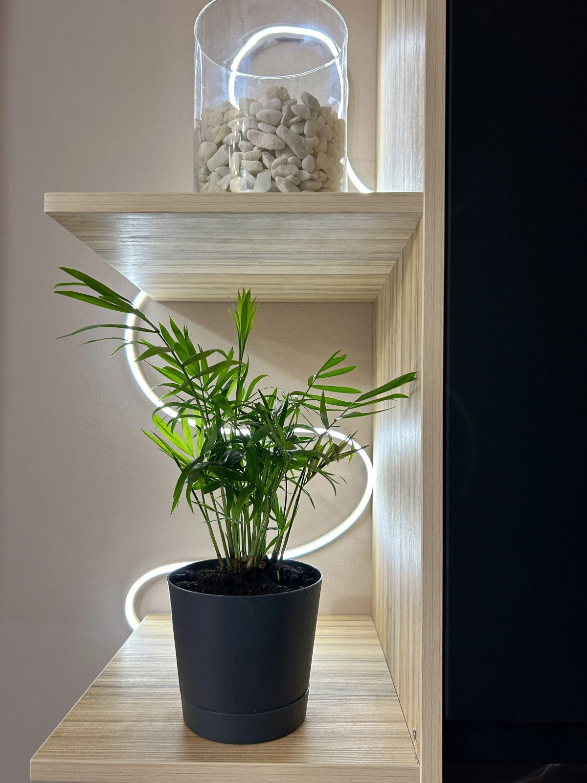 Квартира Студия Terakot