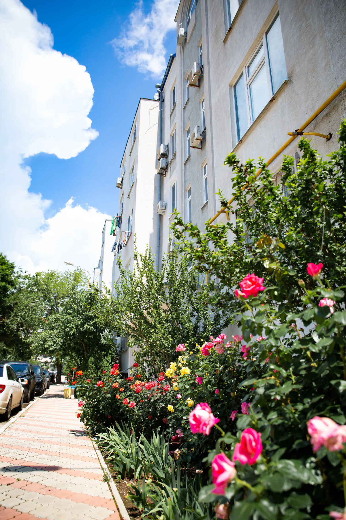 Апартаменты Sellena plus