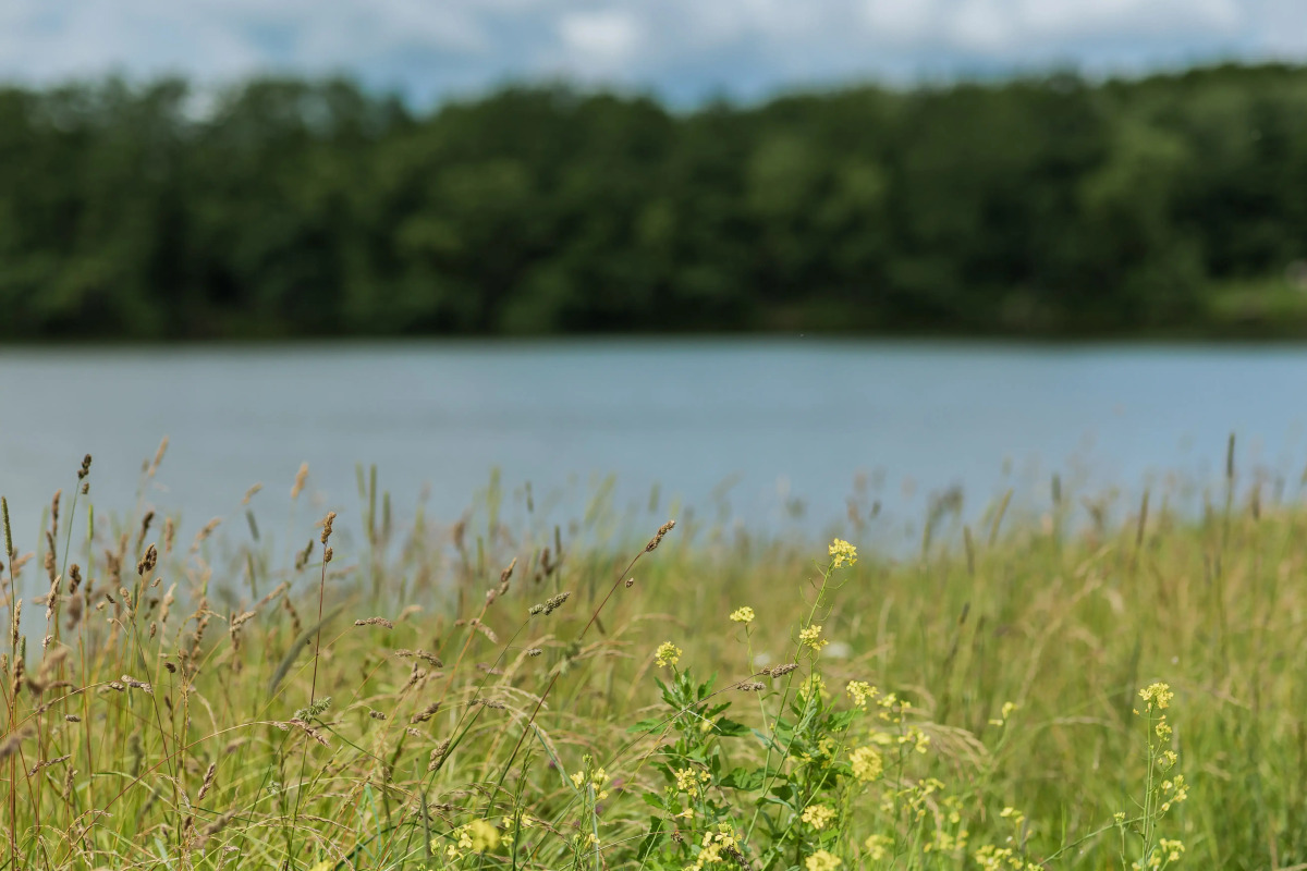 Глэмпинг Катин клёв