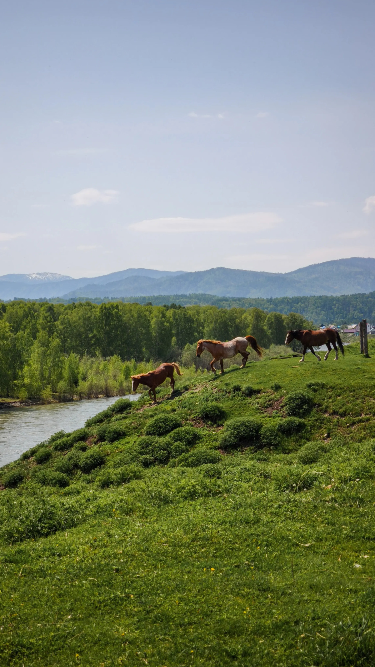 Частный дом Современный гостевой дом на слиянии рек Катунь и Кокса